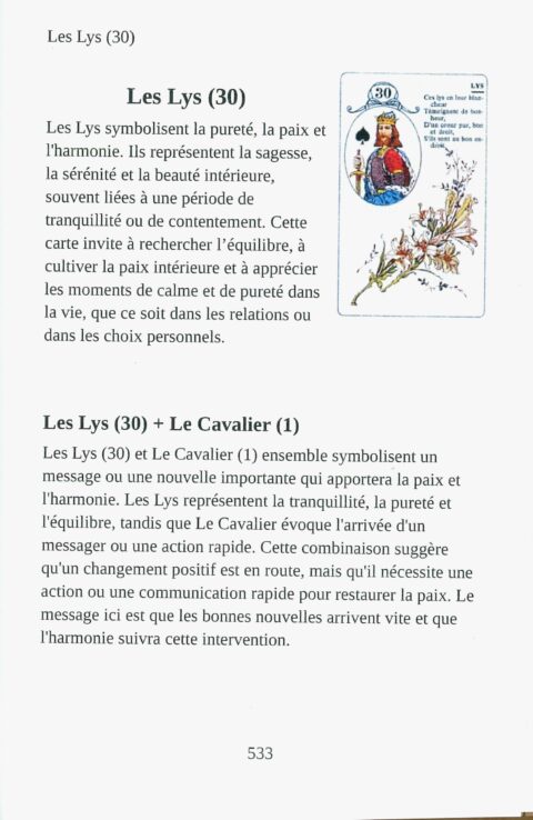 La Bible du Petit Lenormand - Le grand lexique à 2 cartes. – Image 4